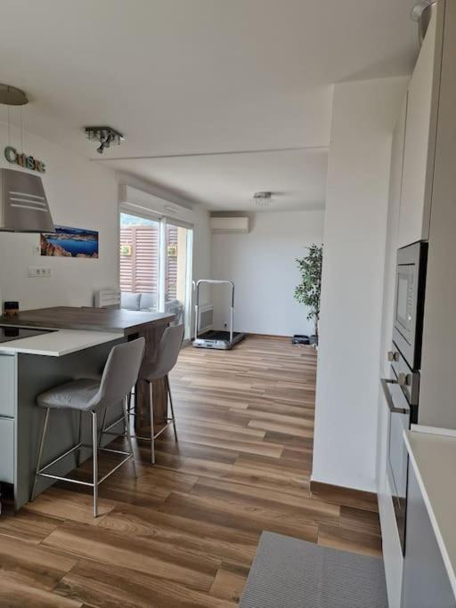 Appartement Isula Piana Avec Vue Panoramique Et Montagnes, 40m De Terrasse *