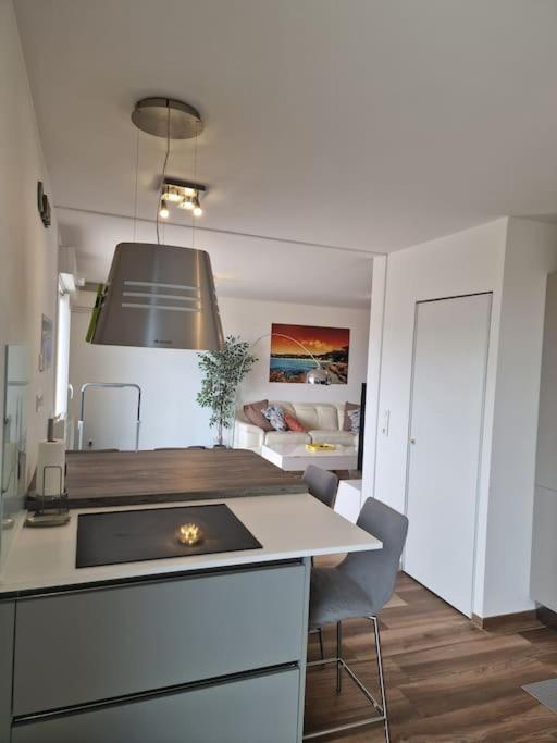Appartement Isula Piana Avec Vue Panoramique Et Montagnes, 40m De Terrasse *